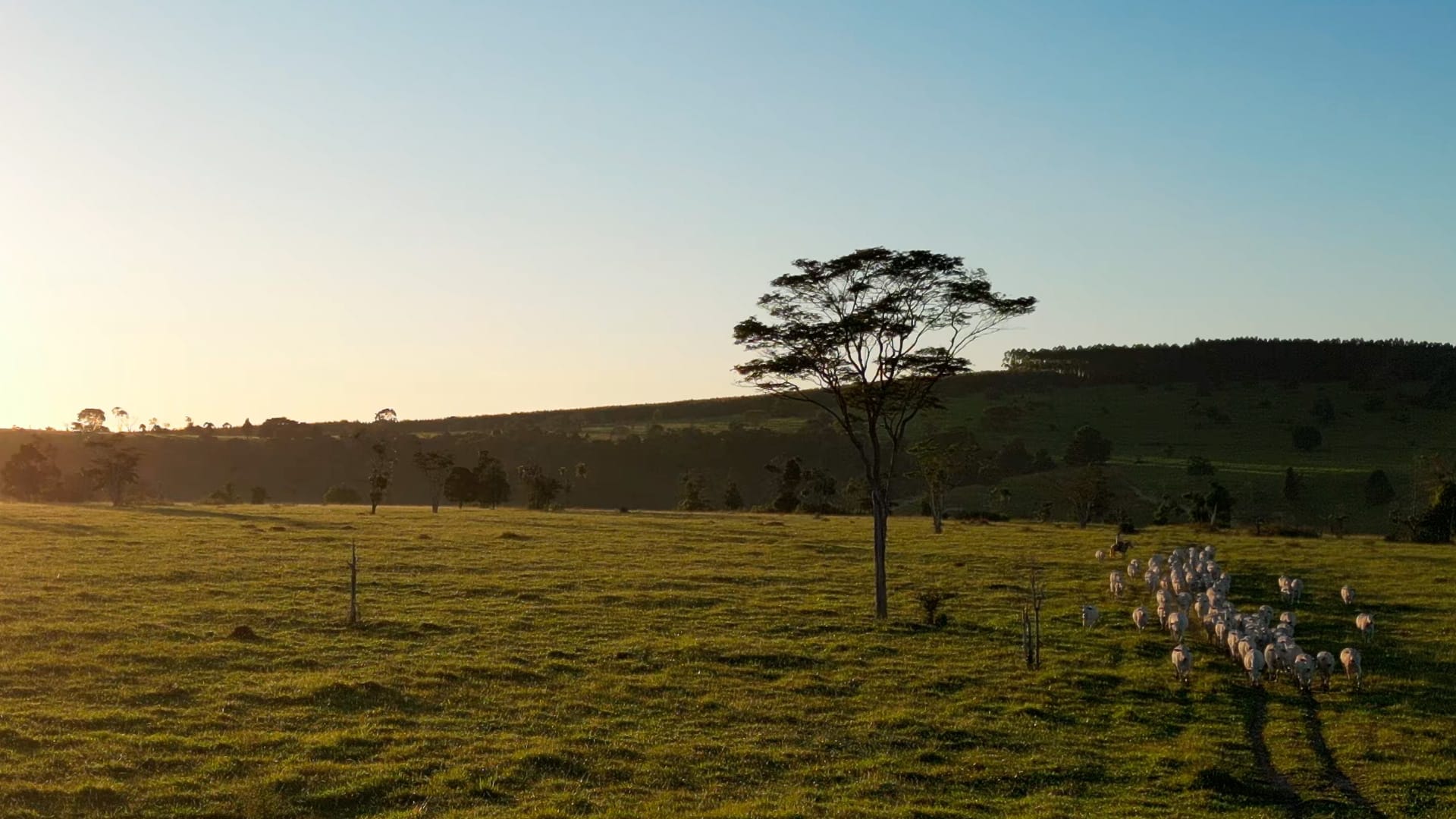 Fazenda Cabrália Agro — produção agropecuária no Sul da Bahia
